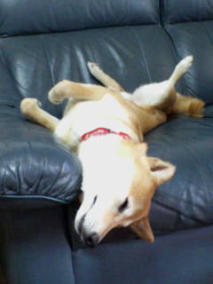 だらだらぁ～～