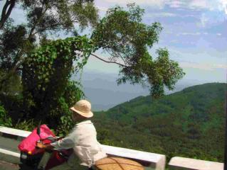 ハイヴァン峠とカブ