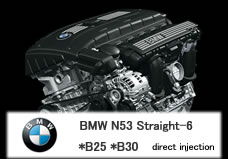 bmw n53b25/30