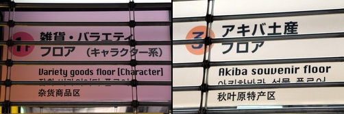 akiba091129j.jpg