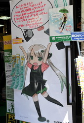akiba100425h.jpg