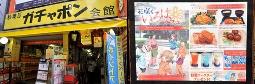 akiba110611k.jpg