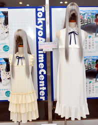 akiba110723d.jpg