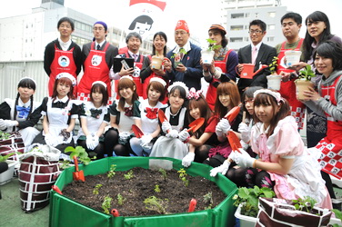 akiba_saien2010o.JPG