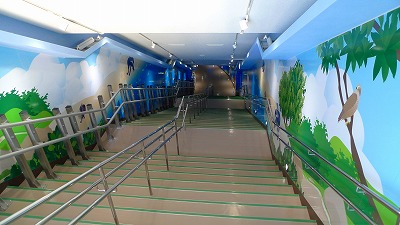 s-P1010488(3).jpg