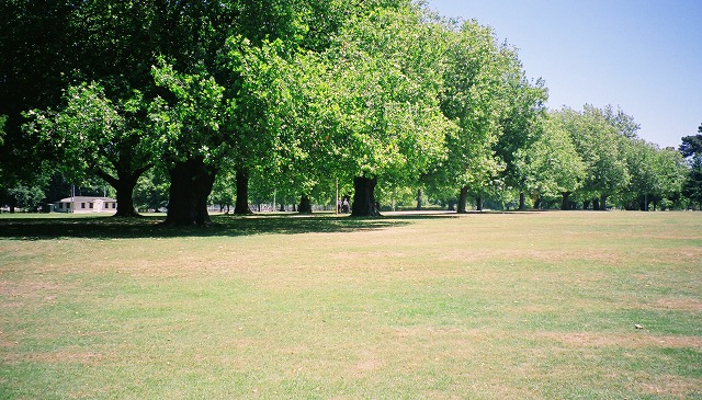 s-FILM0019.jpg