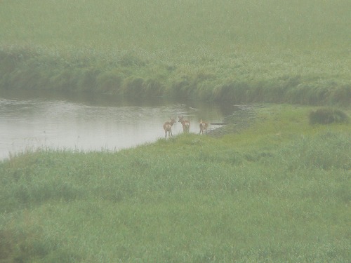 s-P1010151.jpg