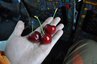 DSC_0874_1628.JPG