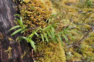 DSC_0349_1107.JPG