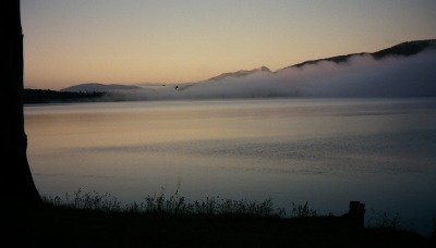 s-FILM0002.jpg