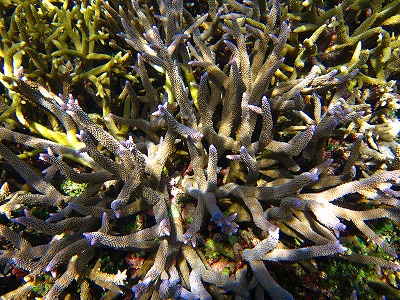 s-IMG_1193.jpg