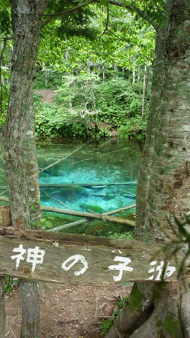 s-P1000611.jpg