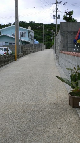 s-P1000096.jpg