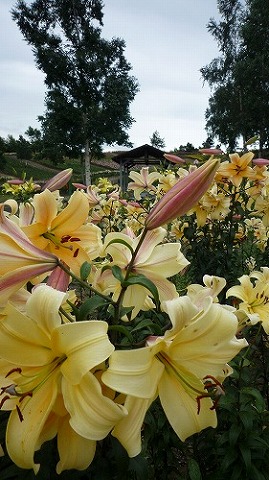 s-P1000636.jpg