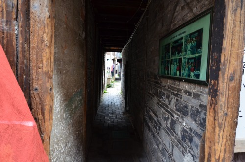 s-DSC_0277_3208.jpg