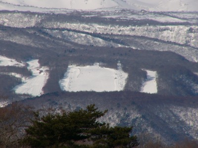 s-083758.jpg