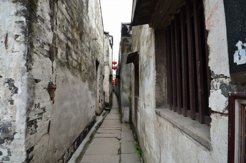 s-DSC_0281_3212.jpg