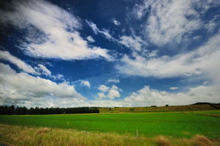 DSC_0745_1499_1.jpg