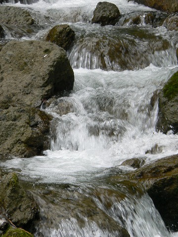 s-P1010170.jpg