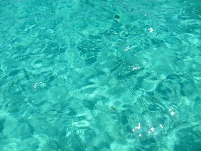 s-IMG_1108.jpg