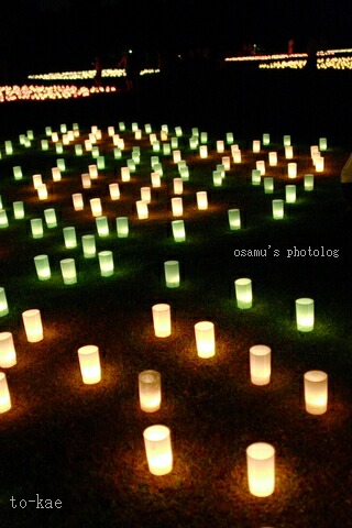 greenlight