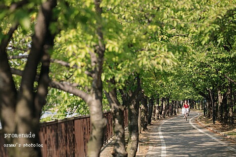 promenade