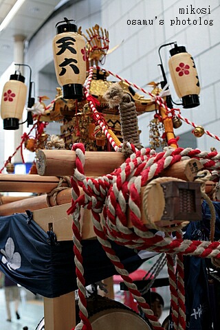 mikosi2