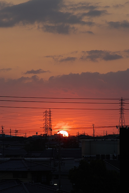 05093001.jpg