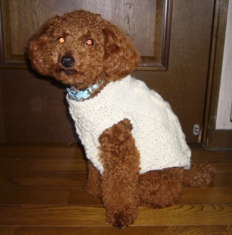 手編み　こっちは縄編みいり＾＾v