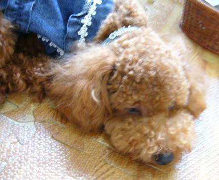 ふぅ　疲れたぁ