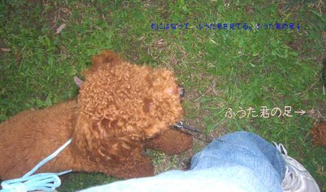 ふうた君が気になってるミロ