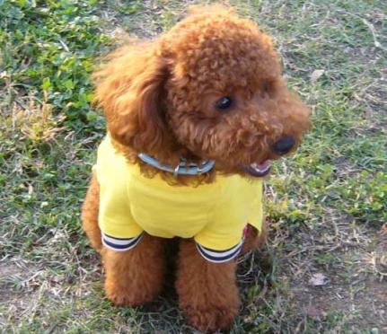 たくさん走って疲れたね