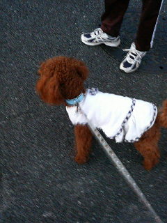 おそとはいいね