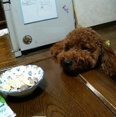 おやつくだちゃい