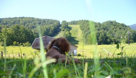 山を下って一息つくミロ