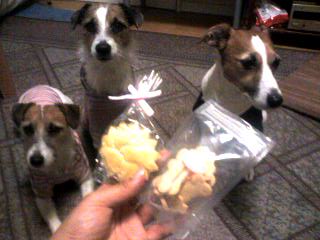 りんごのケーキ＆クッキー♪