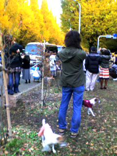 091128_1539~001.jpg