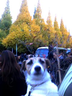 091128_1540~001.jpg
