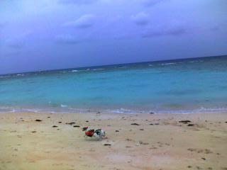091008_1441~001.jpg