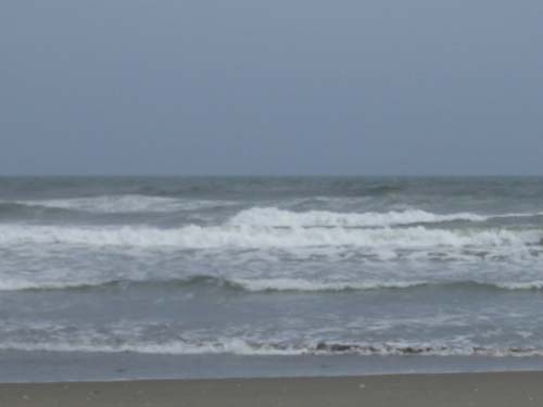 サーフィン 今週の鹿島はどうかな 楽天ブログ