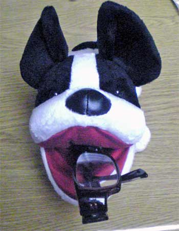 メガネスタンド