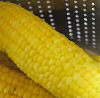 とうもろこし