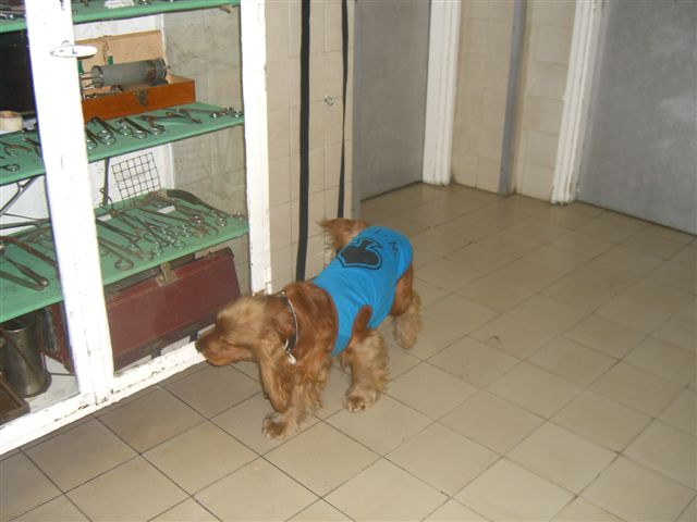 CIMG2393.JPG