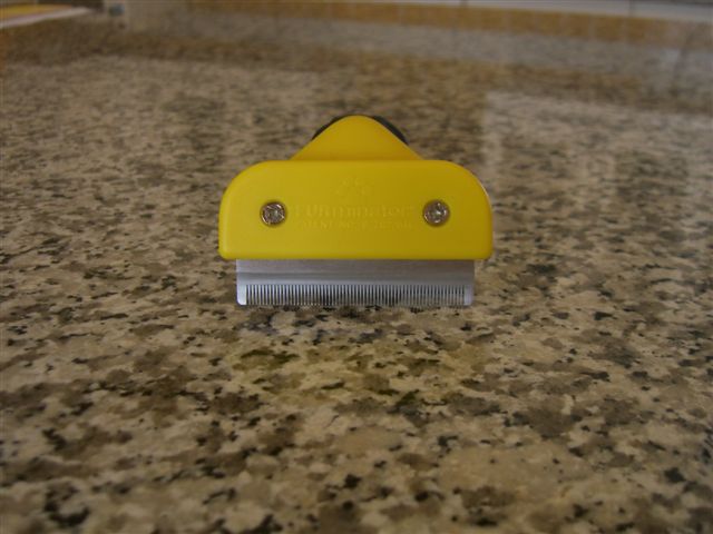 CIMG4385.JPG