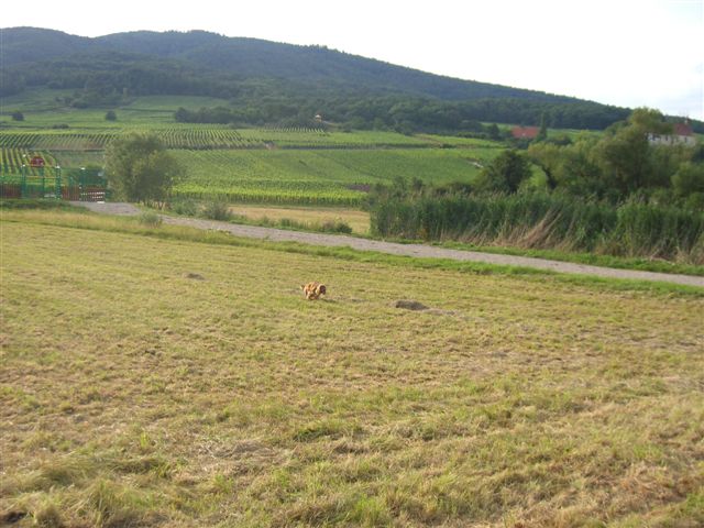 CIMG4145.JPG