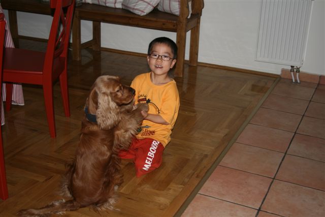 IMG_6033.jpg