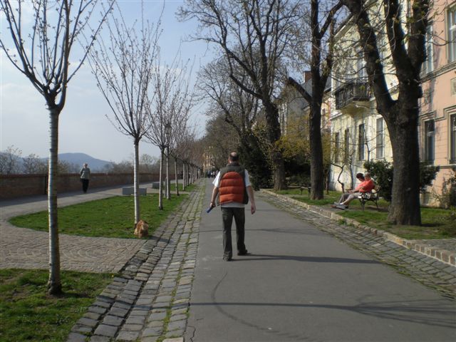 CIMG7466.JPG