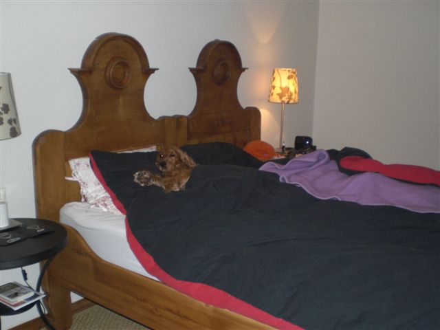 CIMG7091.JPG