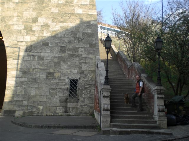 CIMG7483.JPG