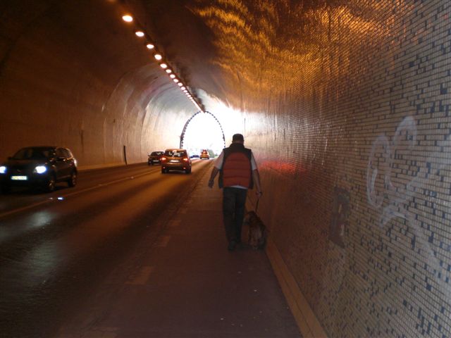 CIMG7492.JPG